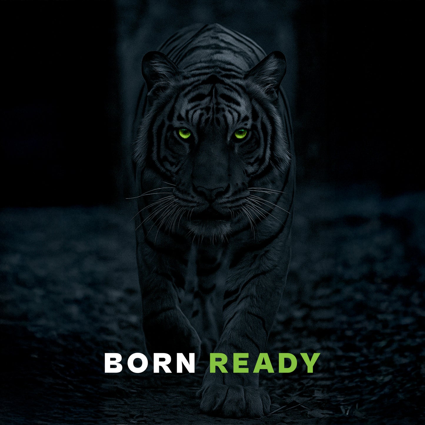 PROWL 2% Salicylic Acid Acne Control Daily Face Serum - All Skin Type - 10ml - Pack of 1